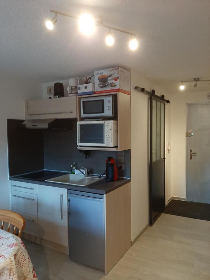 Studio Renove, Calme Avec Terrasse S-O, Prestations De Qualite - Residence Les Adraits Les Rousses Exterior foto